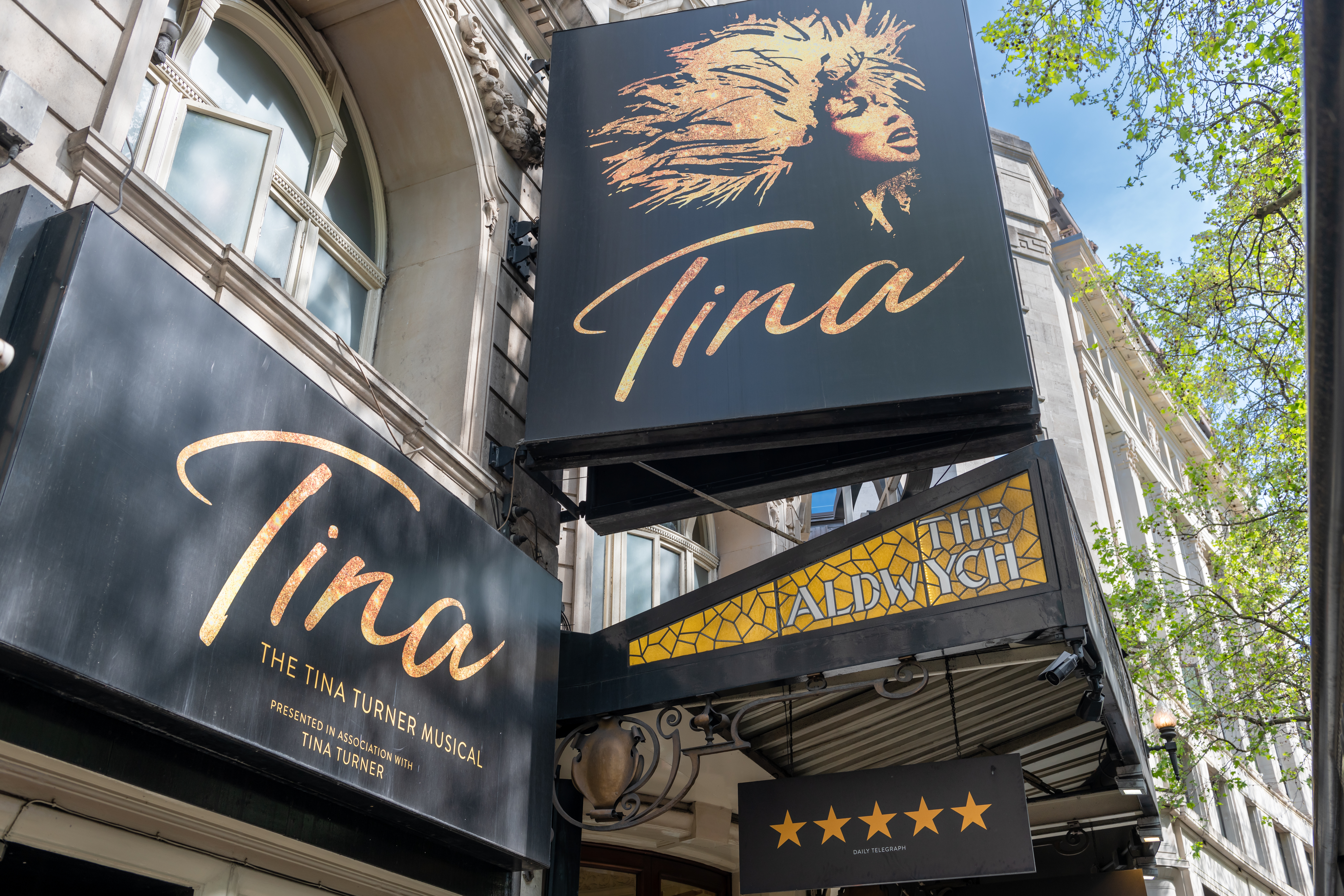 A Tina Turner Tribute