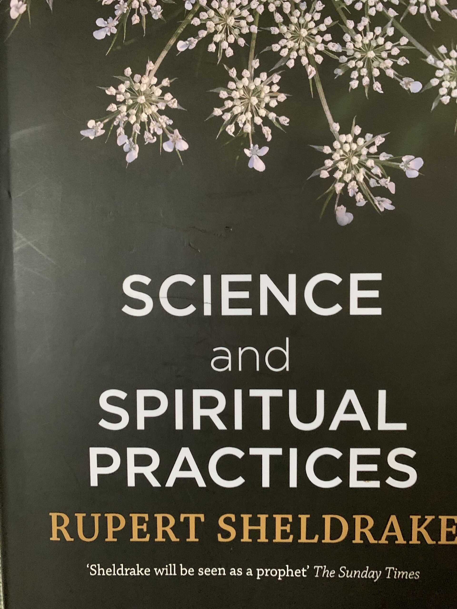 Science and Spiritual Practices by Rupert Sheldrake